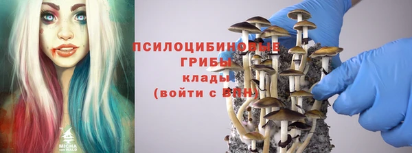 МДПВ Навашино