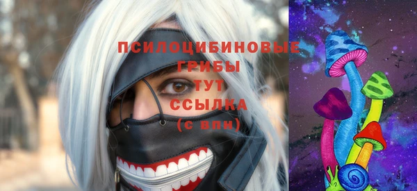 МДПВ Навашино