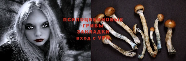 МДПВ Навашино
